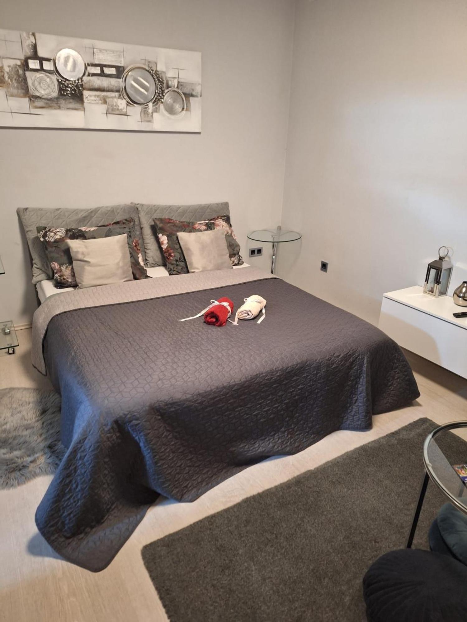 Apartment Apex Penthouse Self Check-In Karlovac Esterno foto